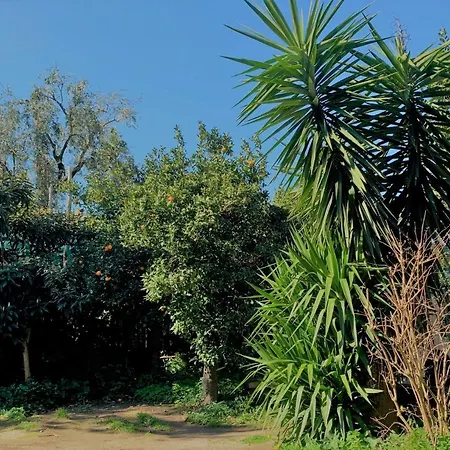 Itaca Bed & Breakfast Piano di Sorrento